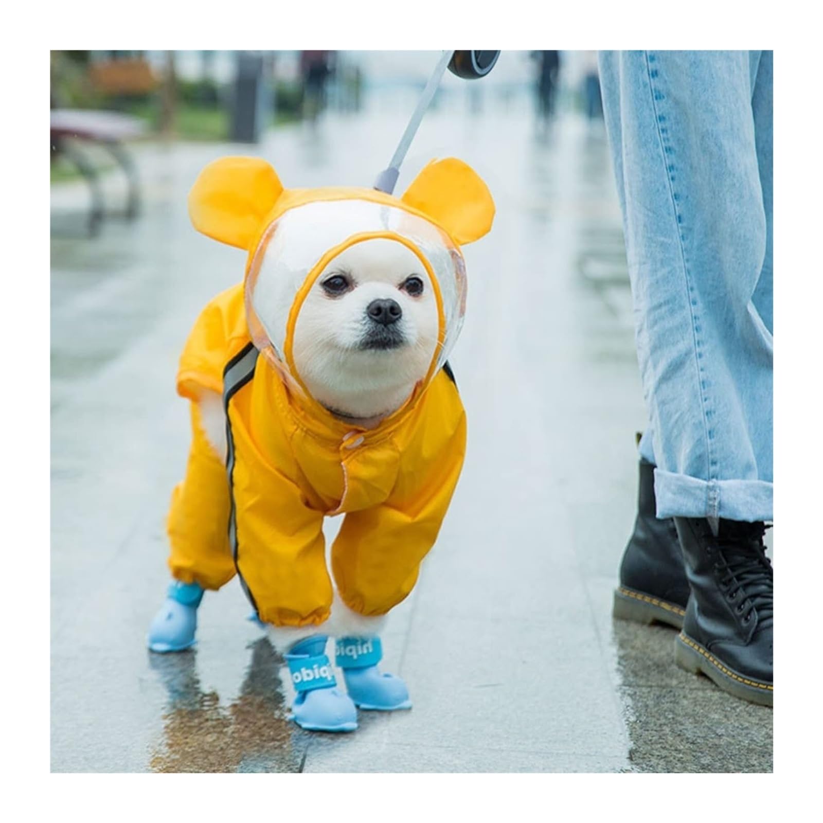 Manteau de pluie imperméable pour chien avec capuche pour chiens de petite et moyenne taille avec sangle réfléchissante Ours jaune Taille M (taille XS)