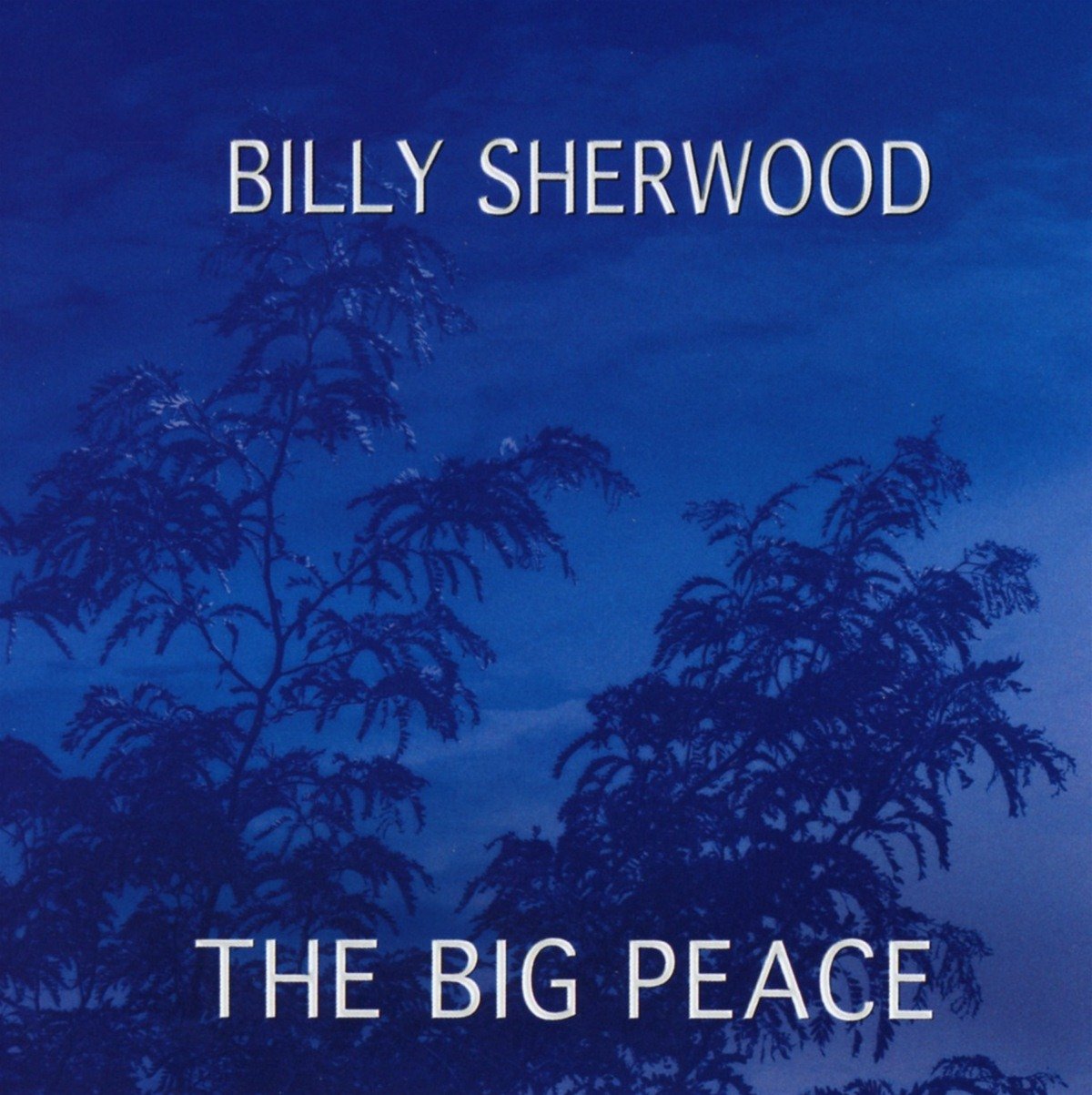 Billy Sherwood The Big Peace (CD) Album