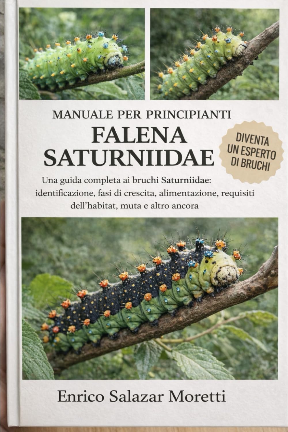 MANUALE PER PRINCIPIANTI SULLA FALENA SATURNIIDAE: Una guida completa ai bruchi Saturniidae: identificazione, fasi di crescita, alimentazione, requisiti dell'habitat, muta e altro ancora