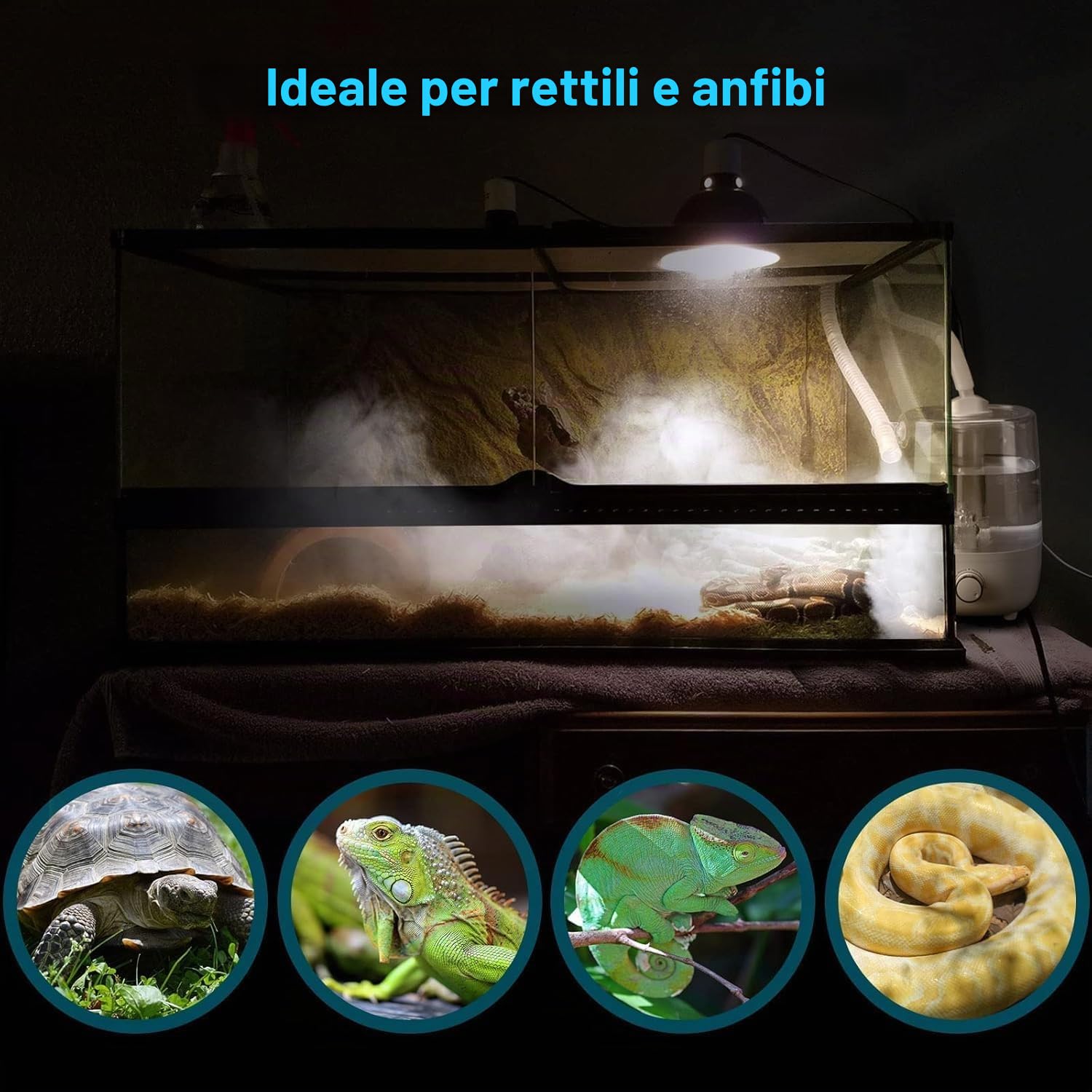INKBIRDPLUS Umidificatore per Rettili, Nebulizzatore per Terrario con Serbatoio Grande da 4 Litri, Mister Ultra Silenzioso con Protezione Control Funzionamento a Secco, Ideale per Rettili, Anfibi