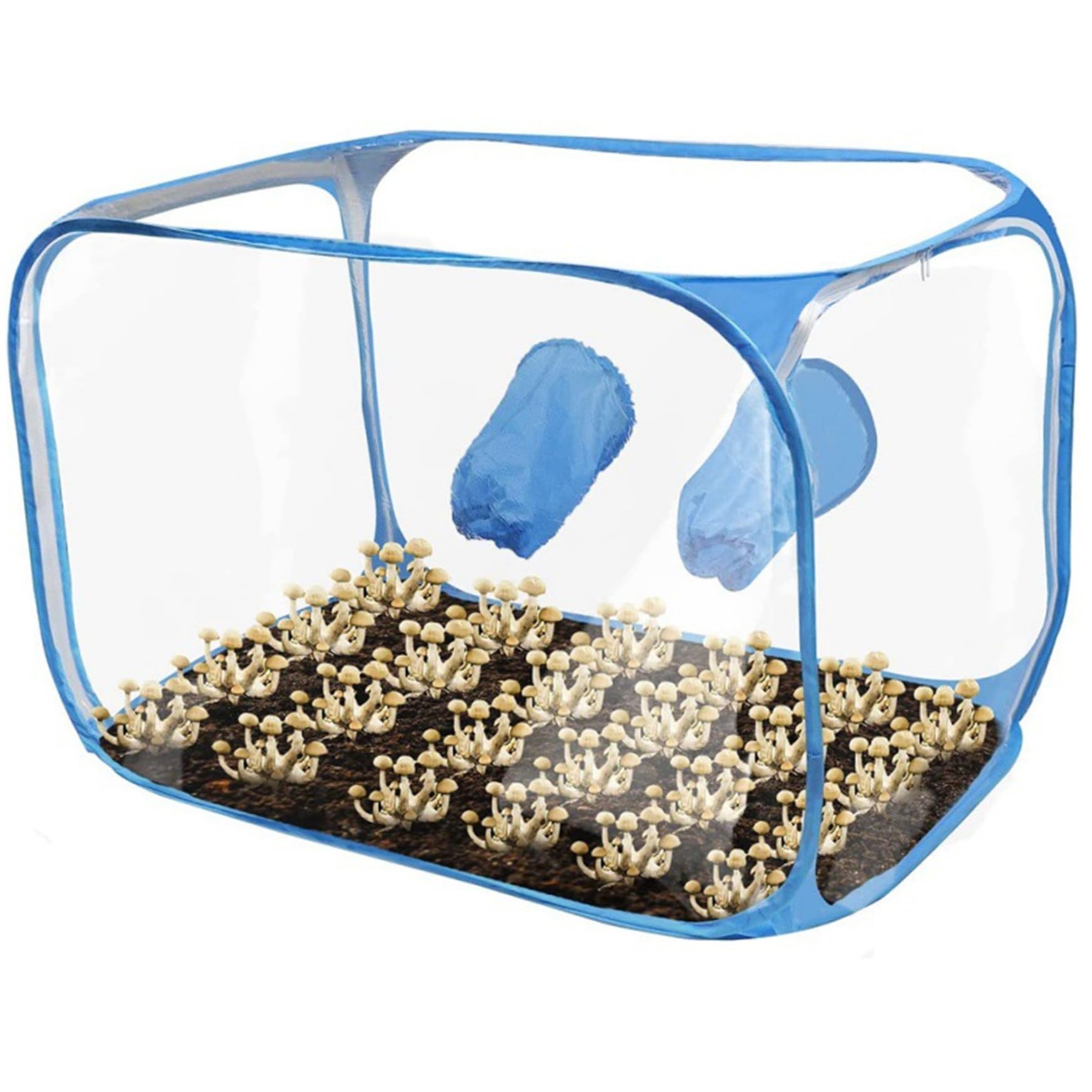 Tente culture en PVC pour spores et champignons avec boîte à air immobile pliante 36x23 pouces