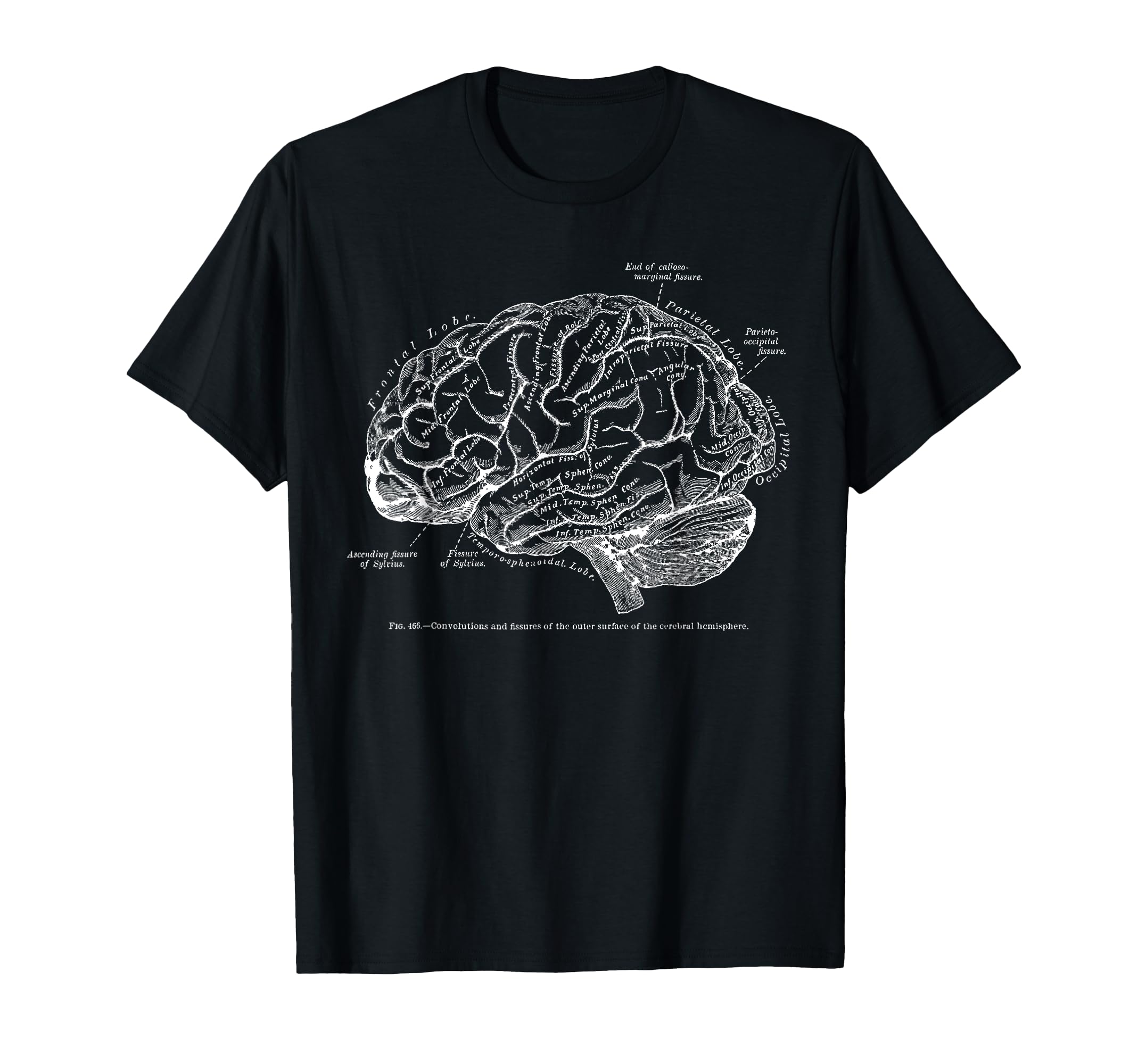 Tシャツ・カットソー Y-3 12th Anniversary M CH1 Brain Printing Man to Man Black H Amazon.com: Brain and Spine Anatomy Shirt : Clothing, Shoes