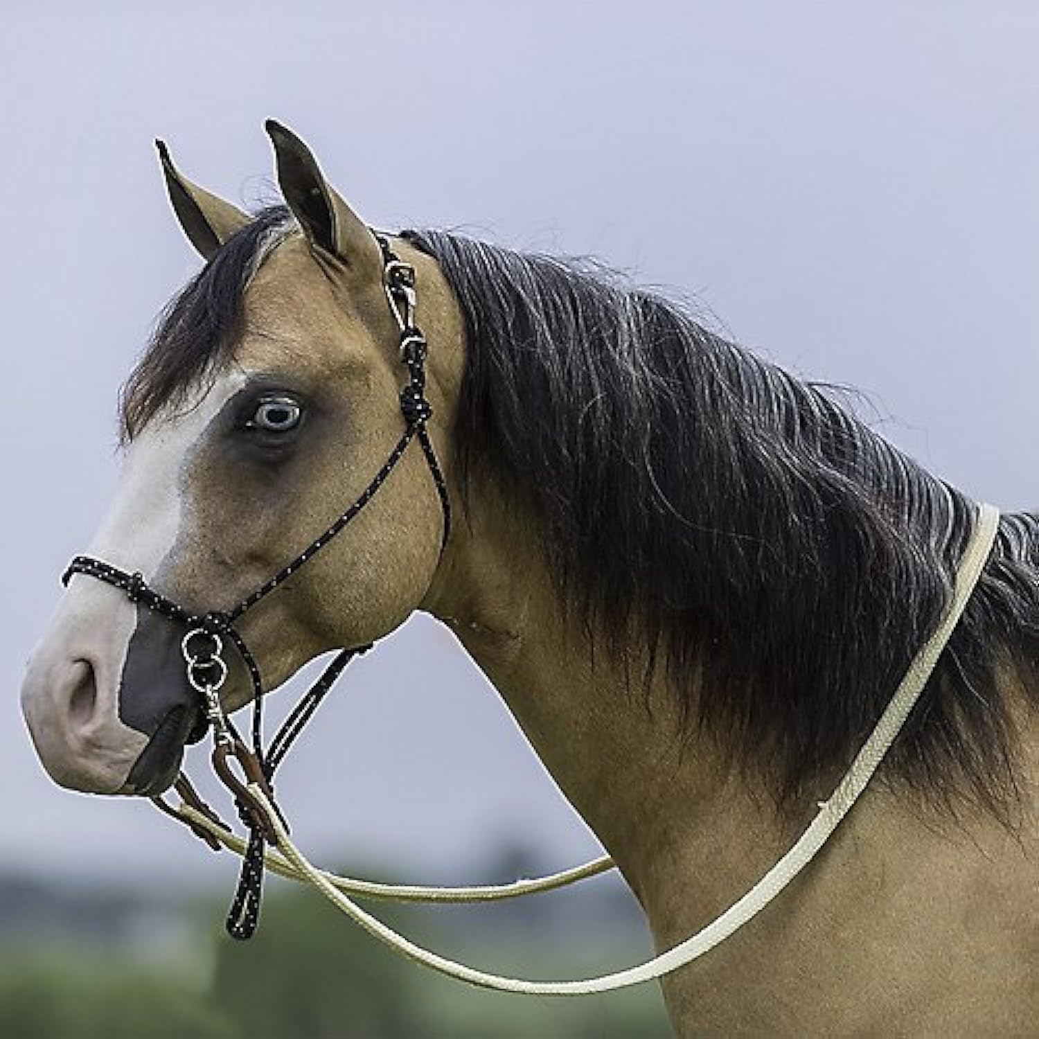 MUSTANG Bitless Halter Bridle