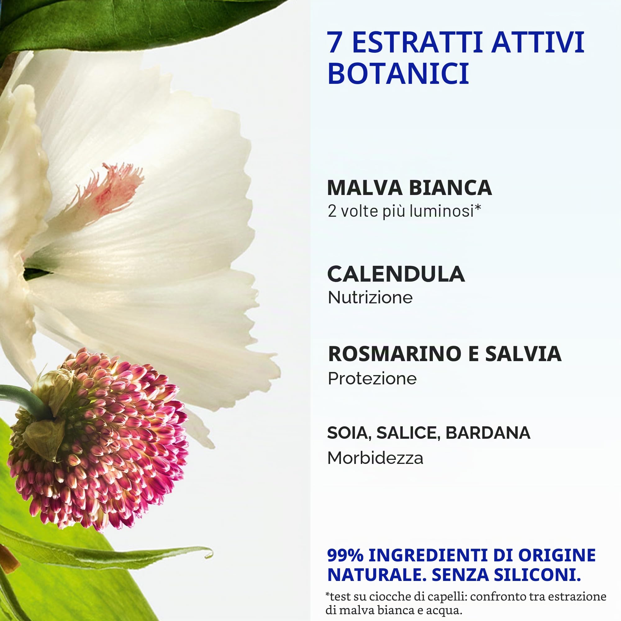 PHYTO 7 crema nutriente da giorno - 50ml – Cura capelli secchi nutriente quotidiano – Protezione anti-crespo 48H – 7 estratti botanici – Crema capelli senza risciacquo
