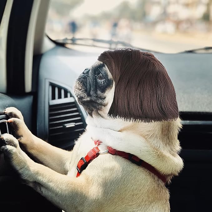 Peluca Divertida para Perro y Gato Cobee, Disfraz Ajustable miniatura 6