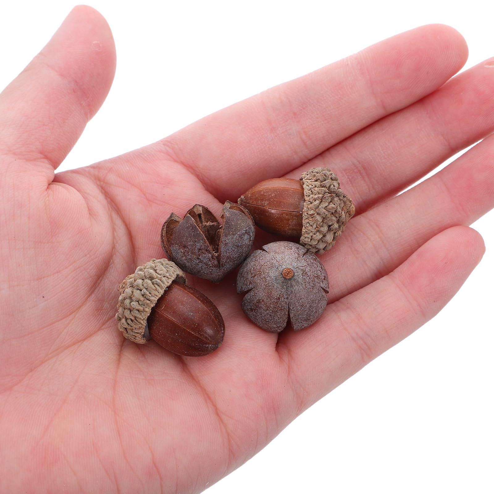 5 Sets Kleine Kiefernzapfen Dekoration für Kranzbasteln,
