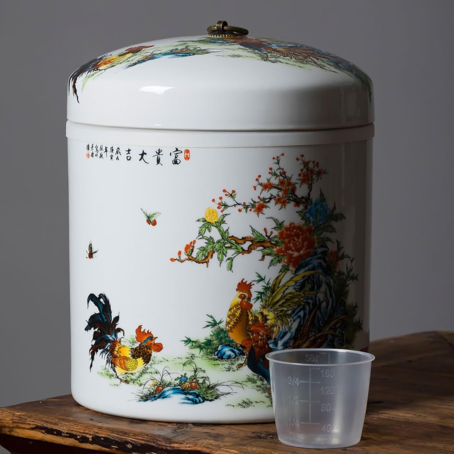 Amazon.com: Ceramic Rice Storage Container - Sealed Rice Bucket with ...