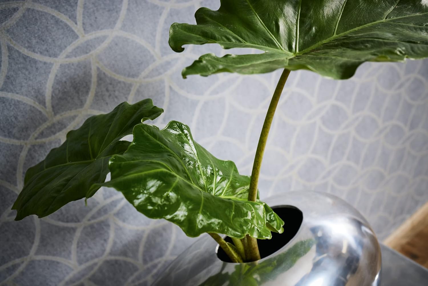 Geometric Wallpaper Villa Non-Woven Wallpaper 10.05 m x 0.53 m Grey Silver Made in Germany 375645 375645