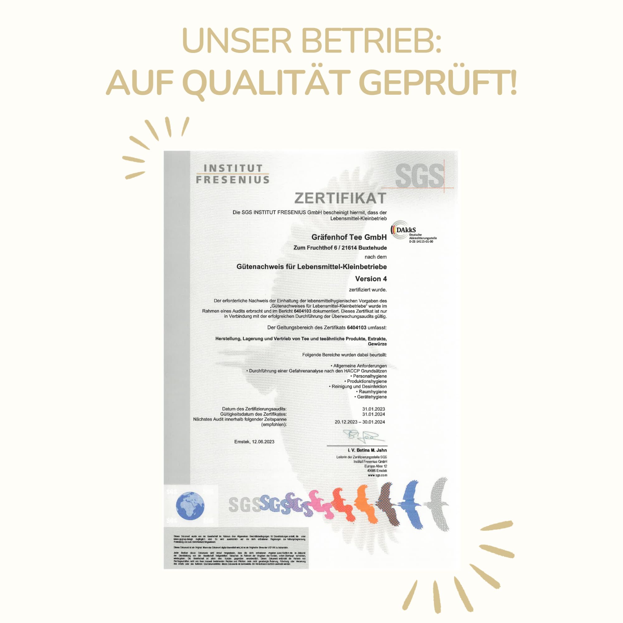 Gräfenhof Earl Grey Tee | mit Assam, Ceylon und Darjeeling | mit Bergamottenstücken & Öl | Blatttee | Koffeinhaltig | 100x2,5g Pyramidenbeutel | 100% BIO | kompostierbare Beutel