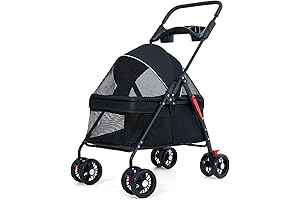 Clear Cat Stroller: Perfect for Outdoor Adventures
