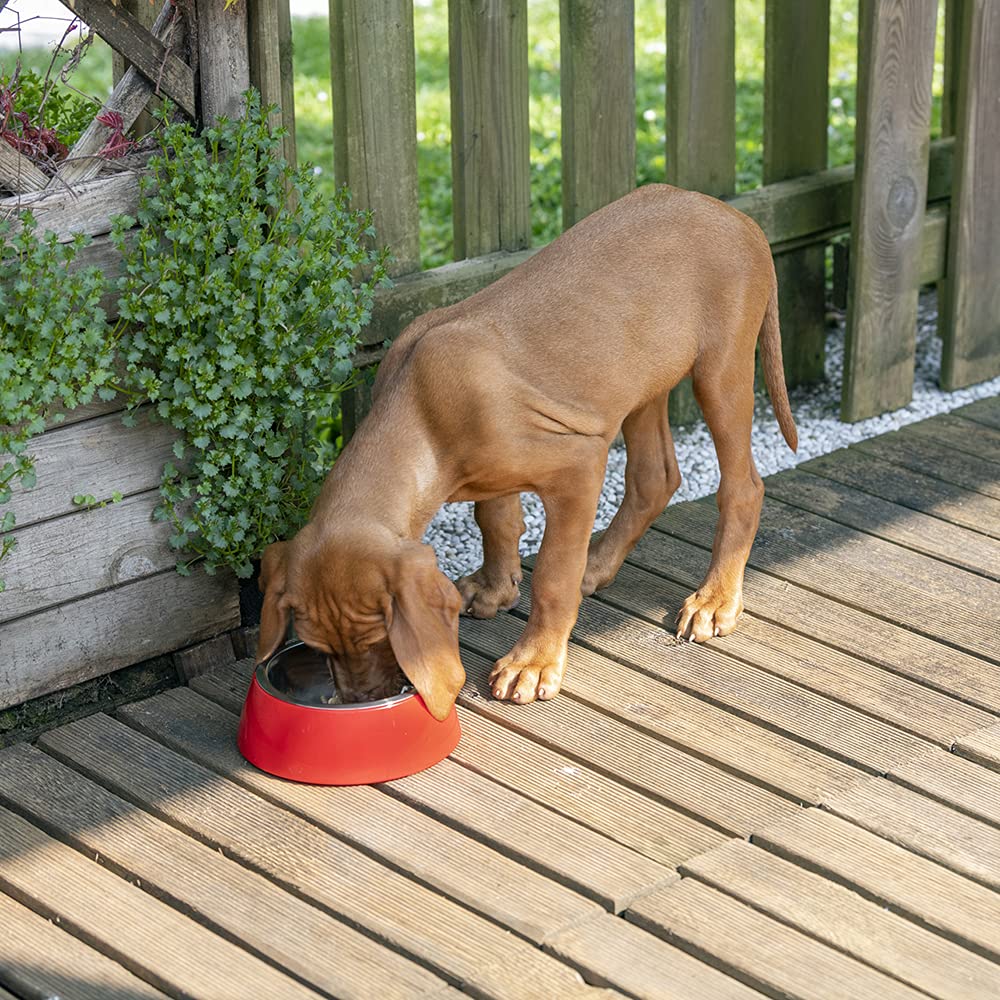 Ferplast Comedero Para Perro Comedero Para Gato Jolie - Comedero Para Perro Para Agua Y Comida De Acero Inoxidable Con Soporte De Plástico, Antideslizante, Pequeño (0,5 L), Rojo