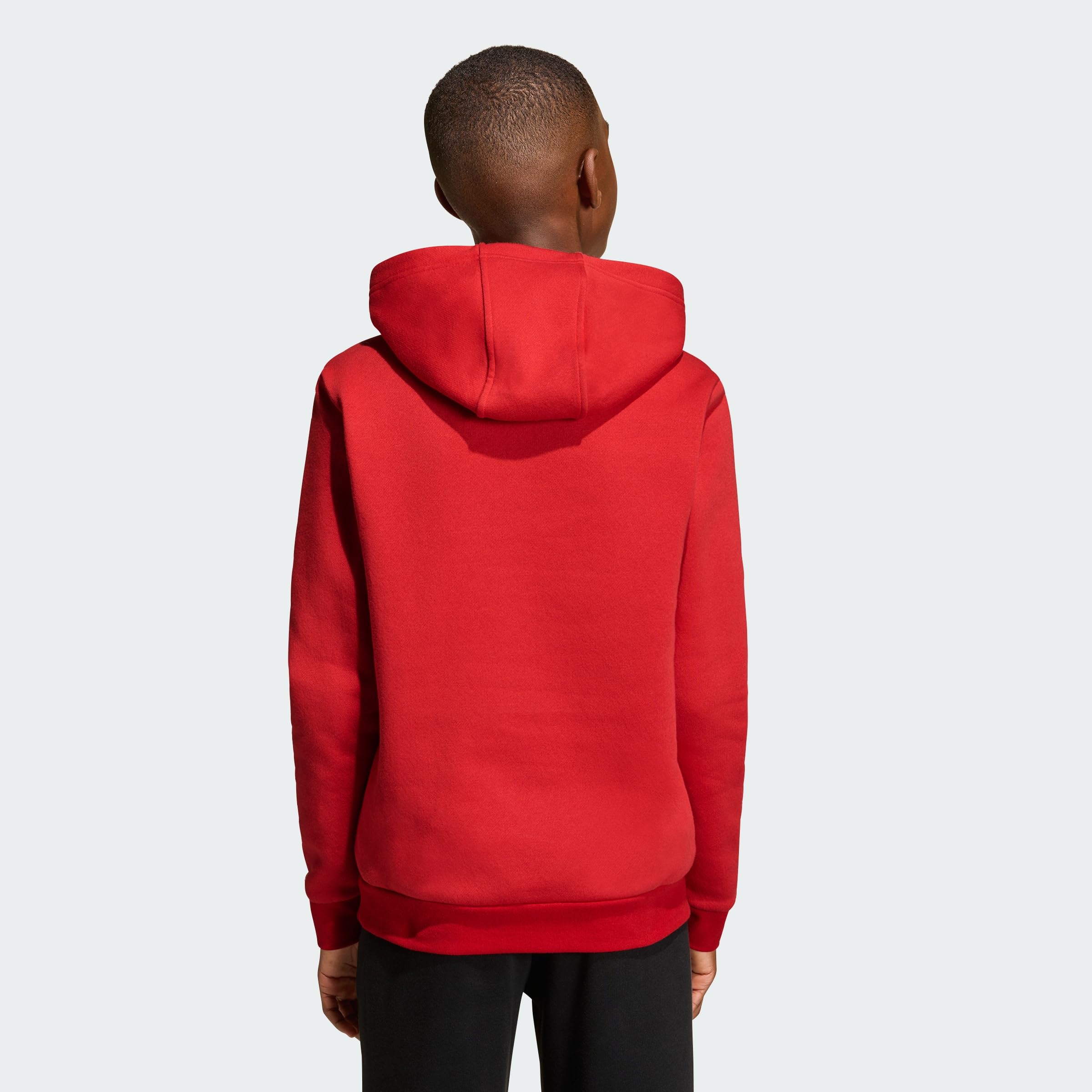 adidas Unisex Kids Entrada26 Kids Hoodie