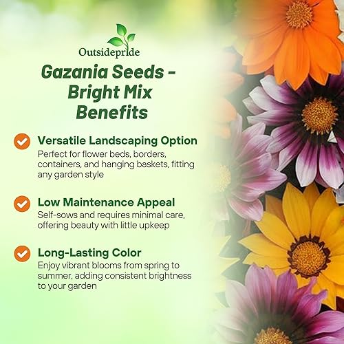Miniatura 3 de Outsidepride New Day Bright - Semillas mixtas de Gazania para plantar, 50 piezas de semillas perennes, de bajo mantenimiento, tolerantes a la sequía