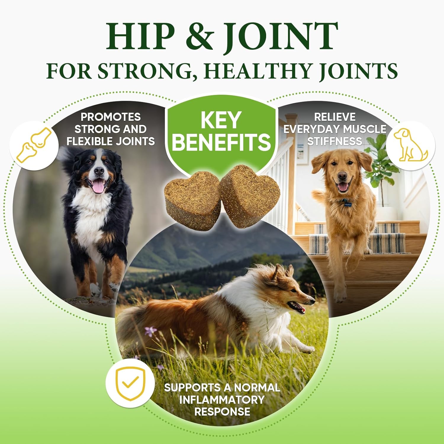 Hip and Joint Supplement for Dogs,Joint Support Supplement,with Glucosamine, Chondroitin, MSM, Promoting Joint Health and Mobility,Plasma Powered Chews for Joint Health,For All Breeds and Sizes 200pcs