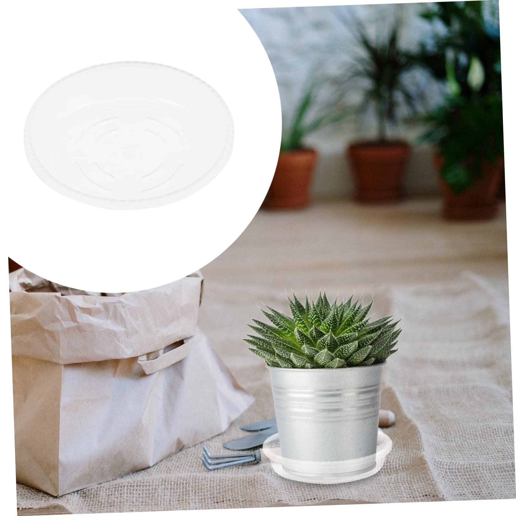 Mipcase 30stücke Wasserschalen Für Blumentöpfe Aus Kunststoff Runde Blumentopfuntersätze Blumentopfschalen Für Garten Gartenbedarf Leicht Und Langlebig Schlichtes Design