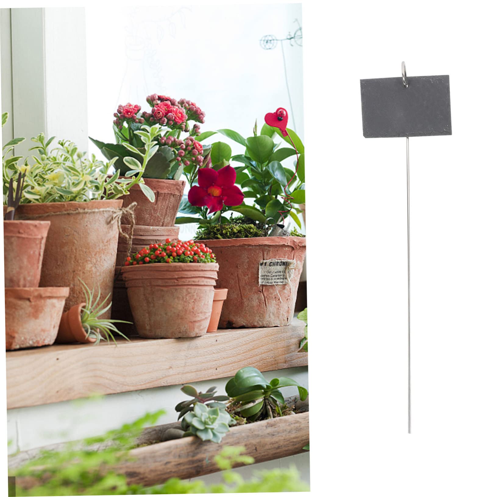 TOYANDONA Étiquettes de Jardin en Ardoise et Fer, Résistantes et Écriture Facile, Décoratives pour Fleurs et Plantes, pour Décorer Votre Cour