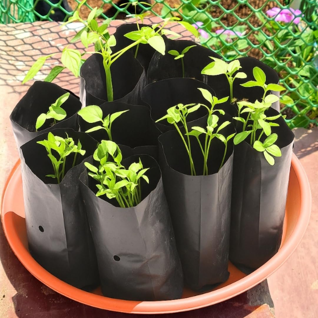 cocogarden Plastic UV Protected Poly Grow Bag for Seedling Nursery Cover Plant Bags (Black, 4 x 6 inch) - Pack of 25 | for Terrace and Balcony Gardening, Kitchen Vegetable and Flowering Plants