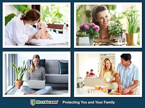 Miniatura 6 de MaxGuard MaxGrip - Trampas de pegamento (24 trampas) no tóxicas, extra pegajosas, con trampa atractante de aroma afrutado y mata insectos, insectos,