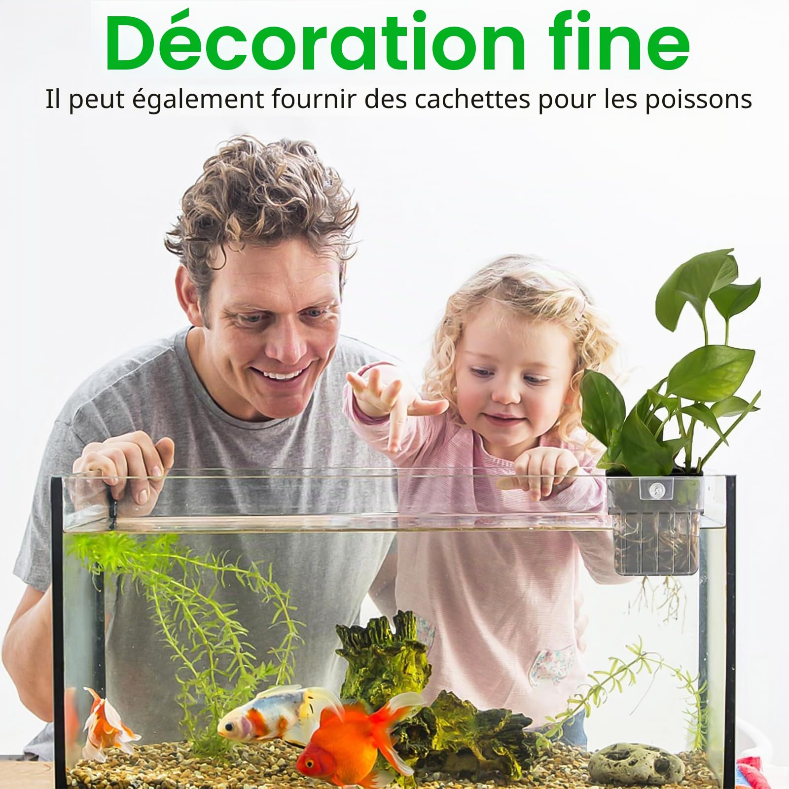 4 Stück Support de Plante D'Aquarium, Transparent mit Panier Plante Aquarium, Support de Plante D'Aquarium Suspendu für Fisch Tank Aquaponic Pflanzenkultur und Aquascape Dekorationen