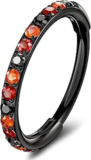 20G Piercing Nariz Anillo de Segmento con Bisagra de Acero Quirúrgico 316L Joyas para Piercing Nostril Colorido Piercing Oreja Helix Labio Trago Rook Daith para Mujer 5/6/7/8/9/10 mm