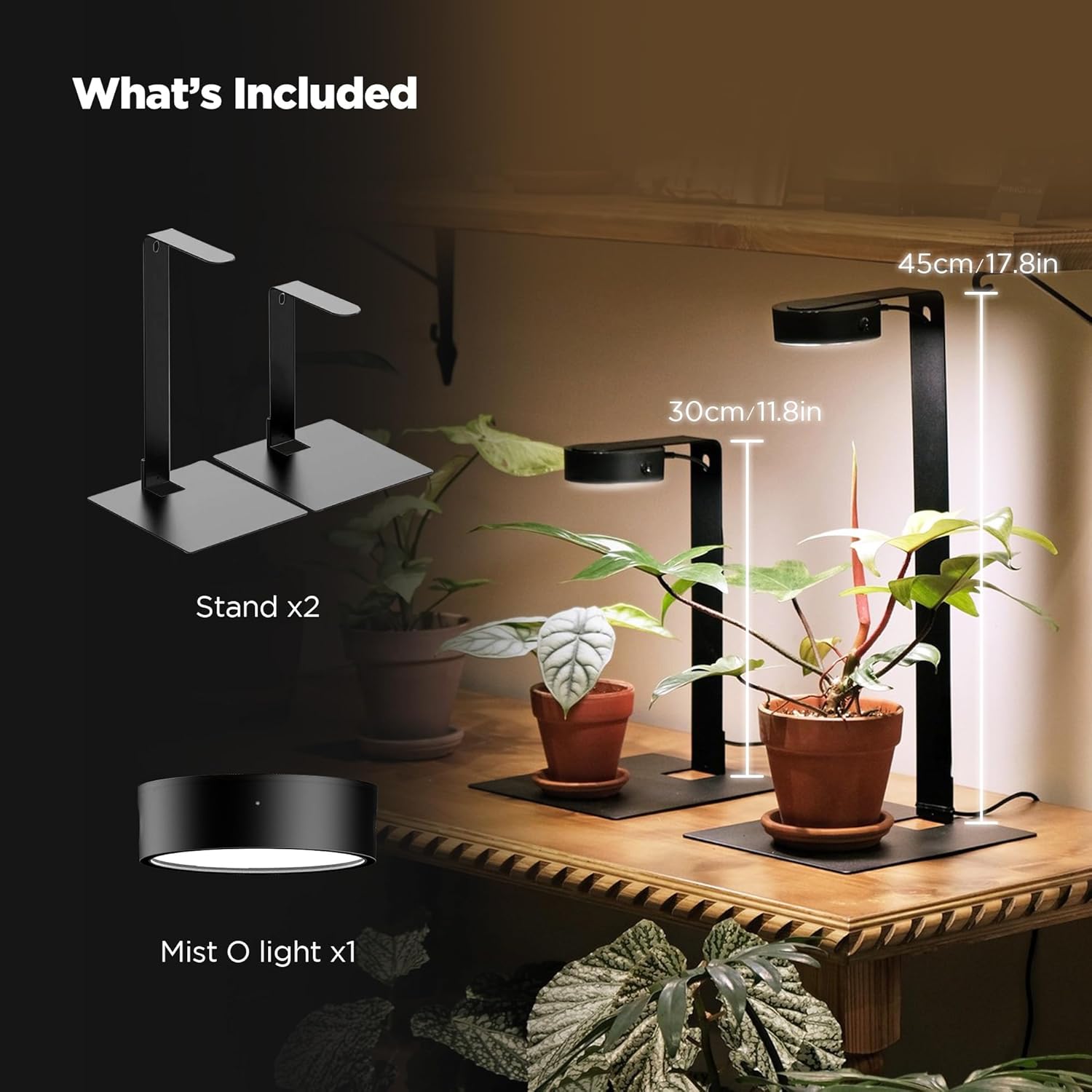 ONF Mist O Desktop Planted Lighting LED Light for Indoor Plants Brightness Dimmable Full Spectrum Grow Light, Room Decoration, Terrarium Light for Potted Plant and Succulent Matt Black