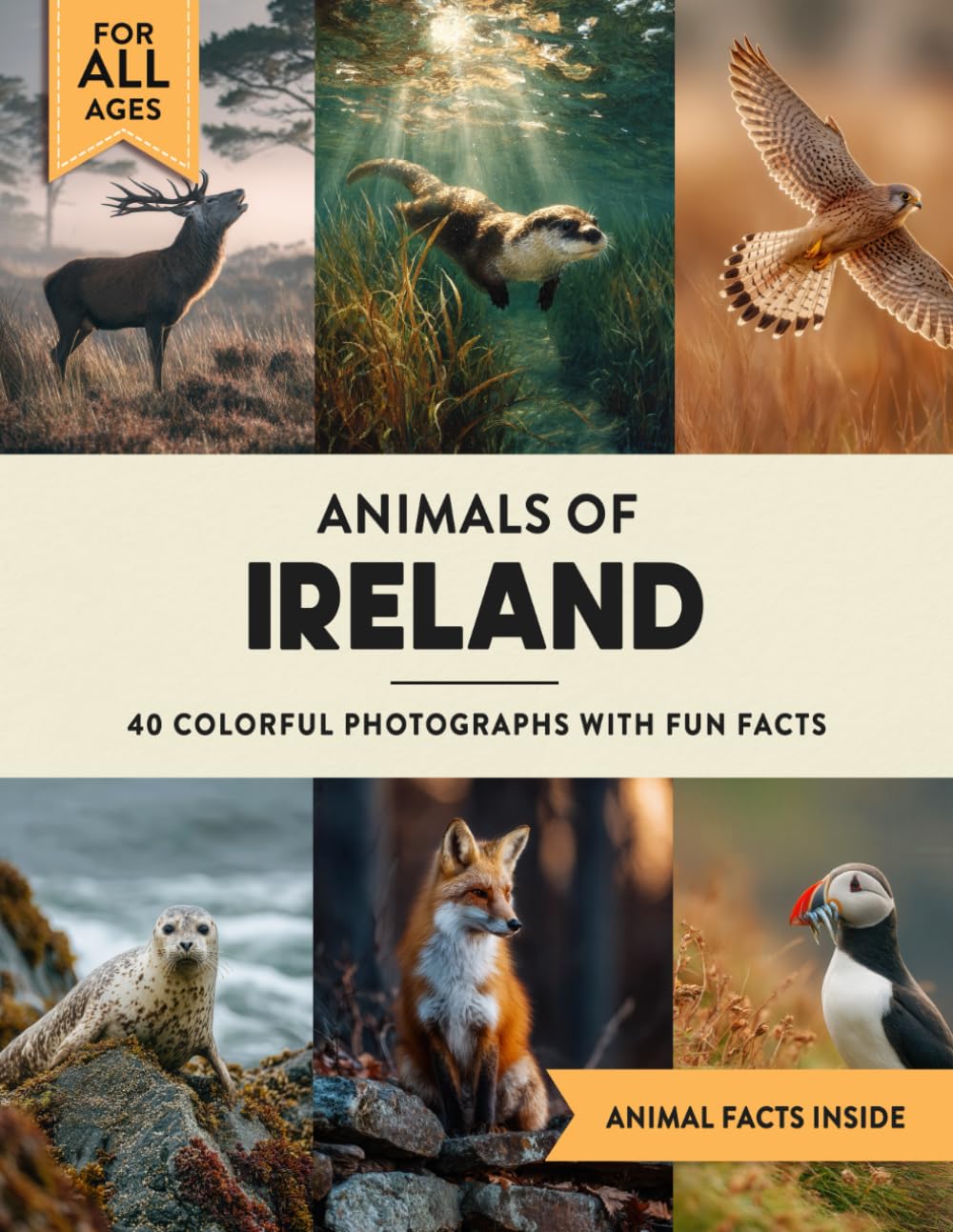 Animals of Ireland: A Wildlife Picture Book With Fun Facts Including Dublin and the Wild Atlantic Way For Kids & Adults
