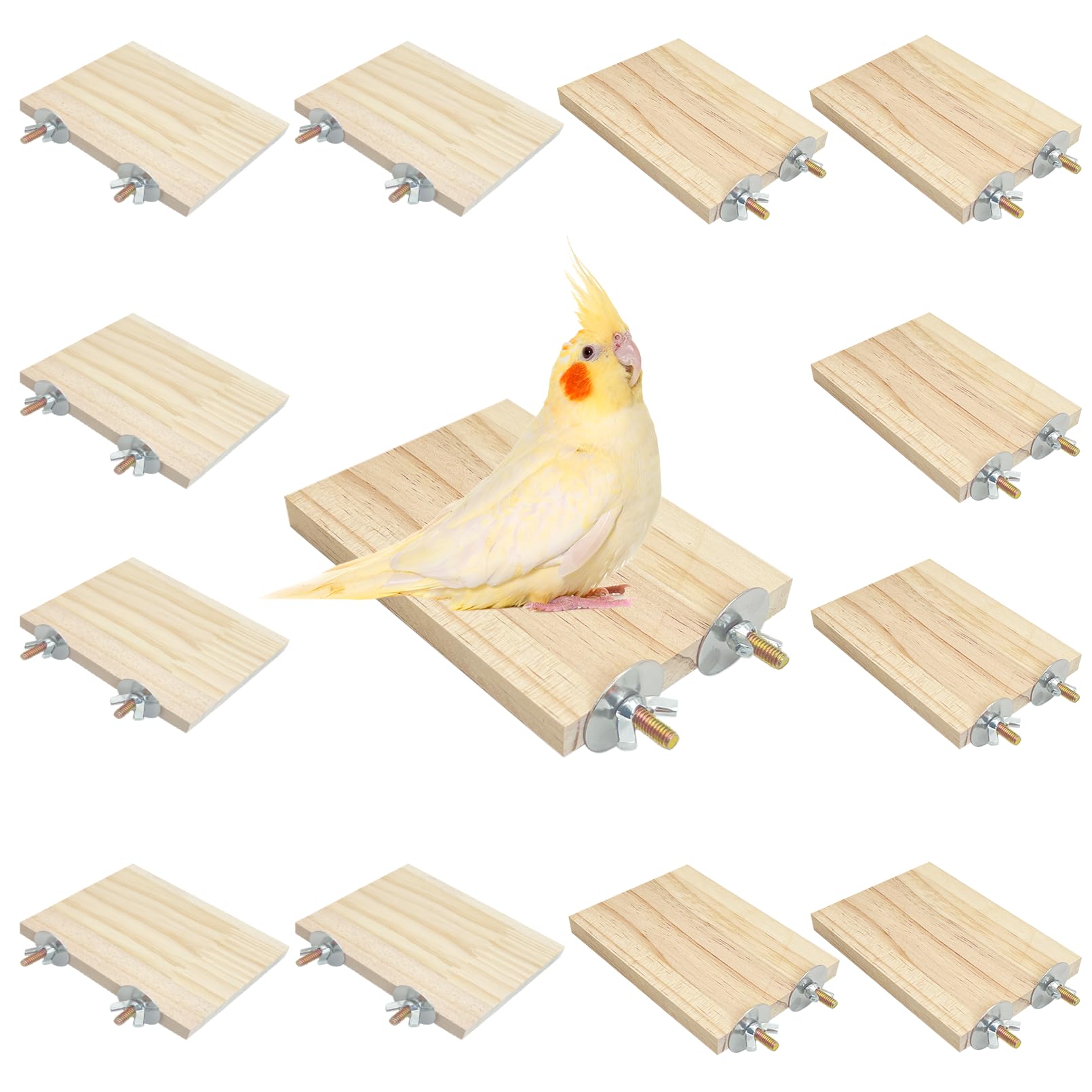 kathson 12 Pcs Wooden Bird Cage Platform Flat Birds Perch Stand Rectangle Parrot Perch with Washers for Bird Paw Grinding Cockatiel Cage Accessories for Parrot, Budgies, Conure, Lovebirds