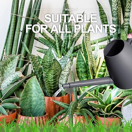 Miniatura 5 de WhaleLife Regadera interior para plantas de bonsái de casa (2.0L, gris)