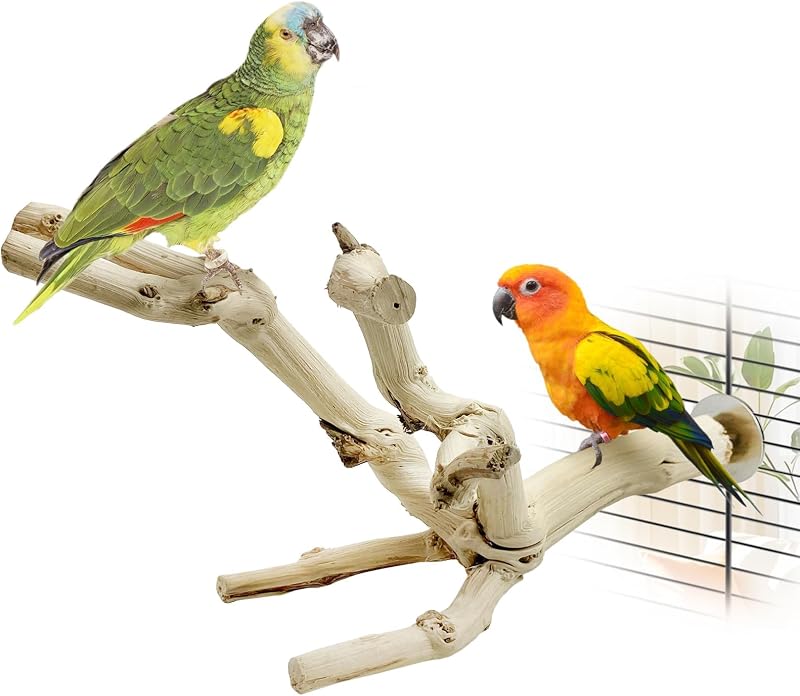 Poleiro para Aves kathson em Madeira Natural com Parafusos e Porcas Borboleta WQA073 – 30,0 x 18,0 x 14,0 cm