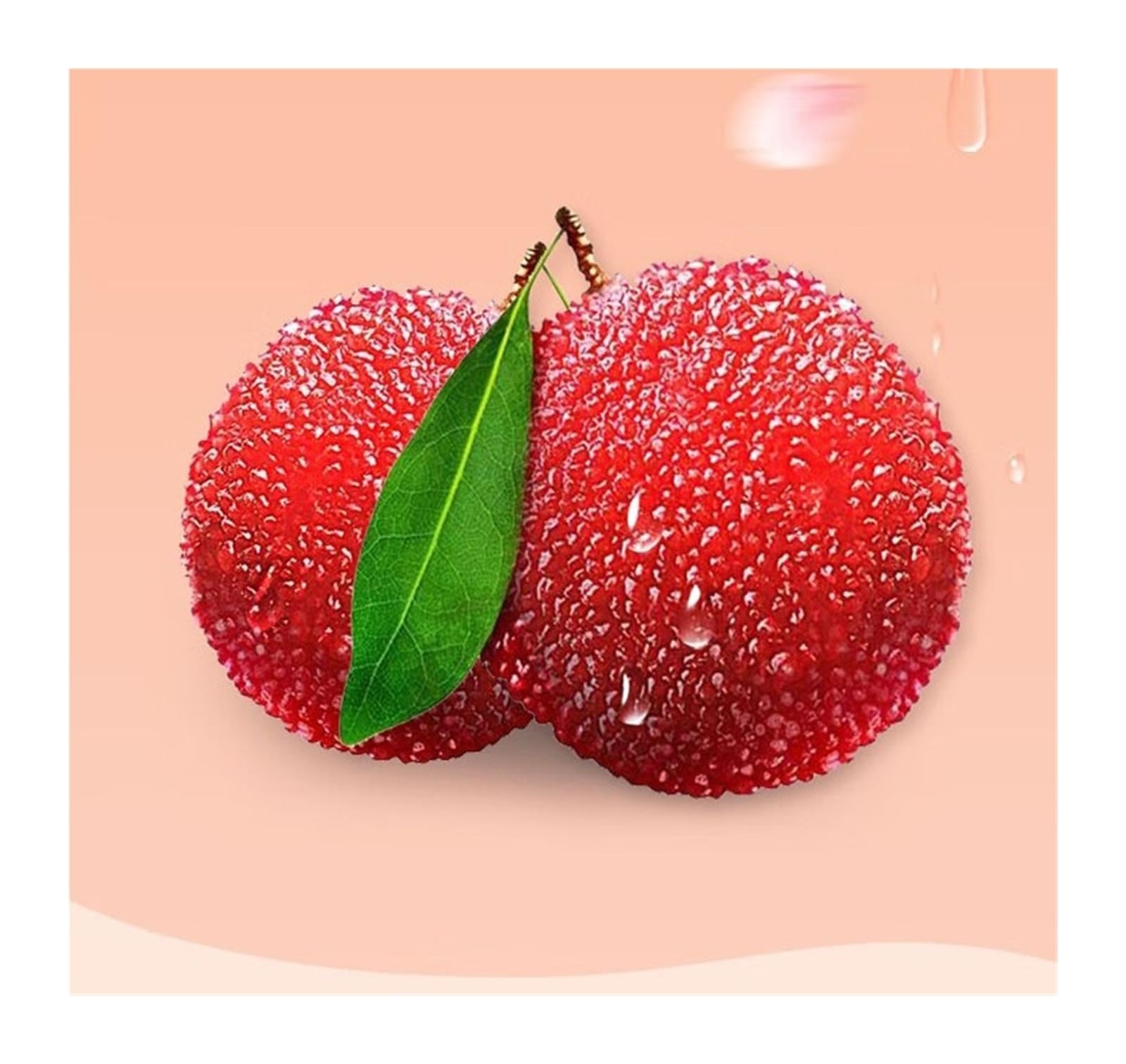 100 g di frutta Waxberry, frutta candita a polpa spessa, una delizia agrodolce che soddisfa le tue voglie.(4bag)