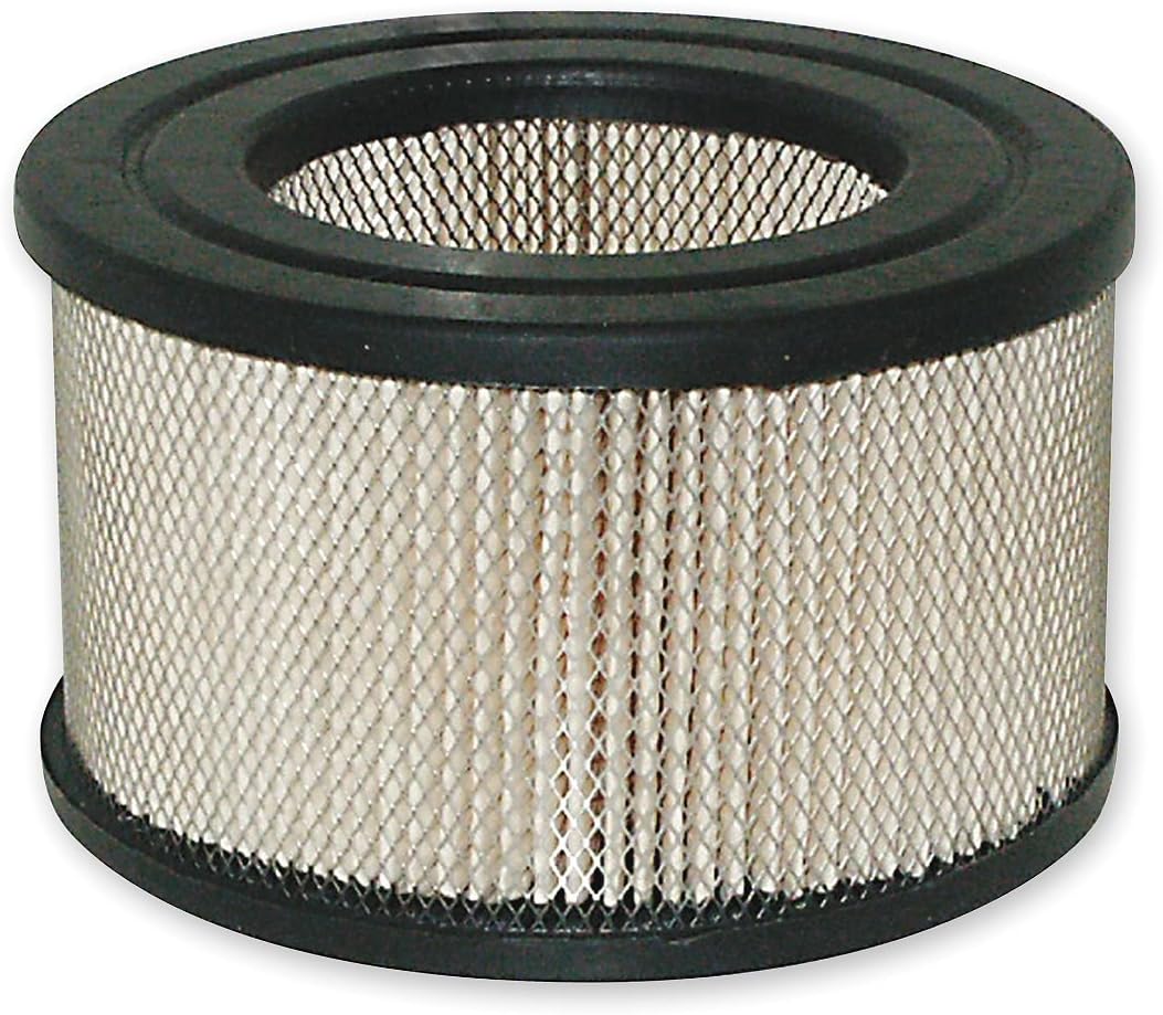 Baldwin Filters PA2102 Industrial Air Filter (6-7/8 x 5-13/16 in.)