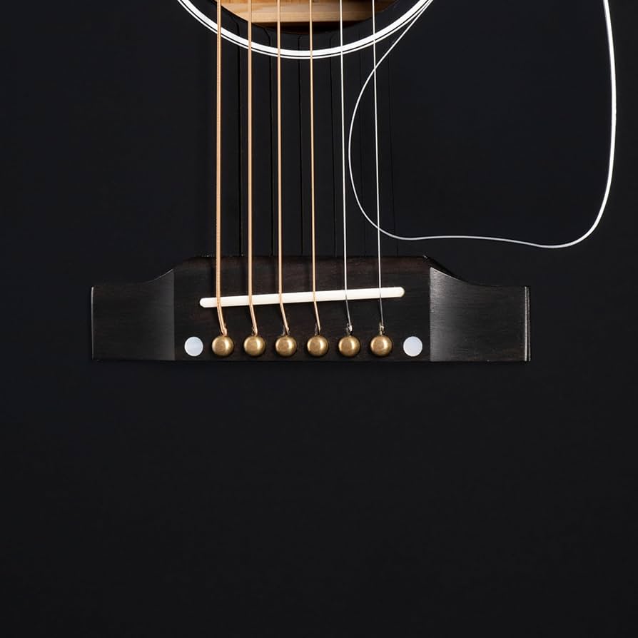 Amazon | Gibson J-45 Custom Ebony アコースティックギター