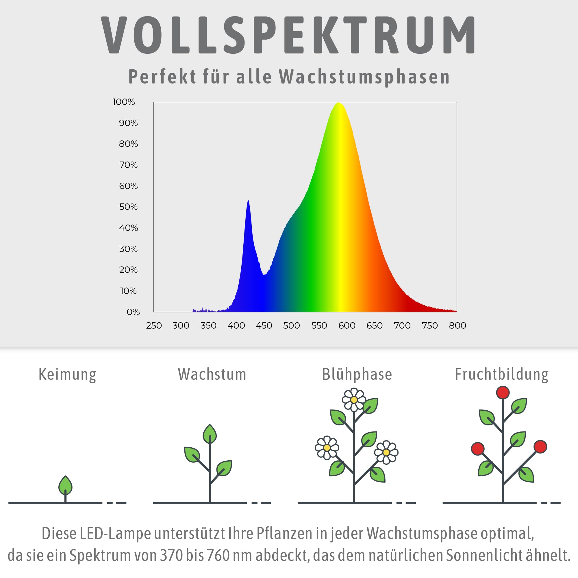 SSC-LUXon Pflanzenlampe 4er Set E27 LED Vollspektrum Grow 13W 1300 Lumen | Vier Wachstumslampen mit Vollspektrum-Licht - rot & blau für Wachstum & Blüte, E27-Sockel für Steh- & Tischleuchten