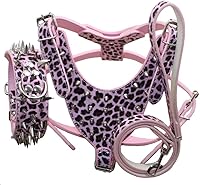 Vista 6 de Juego de 3 collares de perro con tachuelas afiladas de cuero, arneses y correas a juego para perros medianos y grandes, mastín, boxer, bull terrier