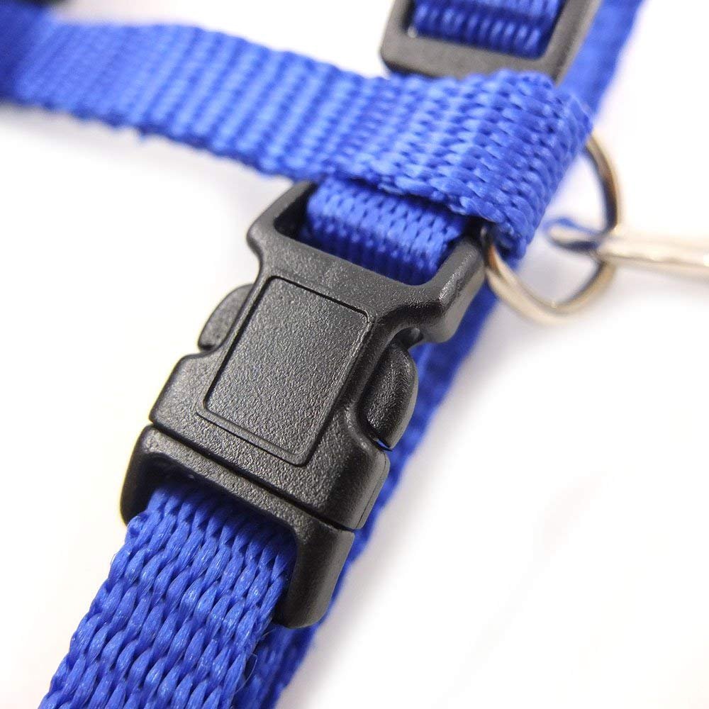 The Pets Company Adjustable Cat Harness Leash Set for Cats & Kittens, Indigo 2