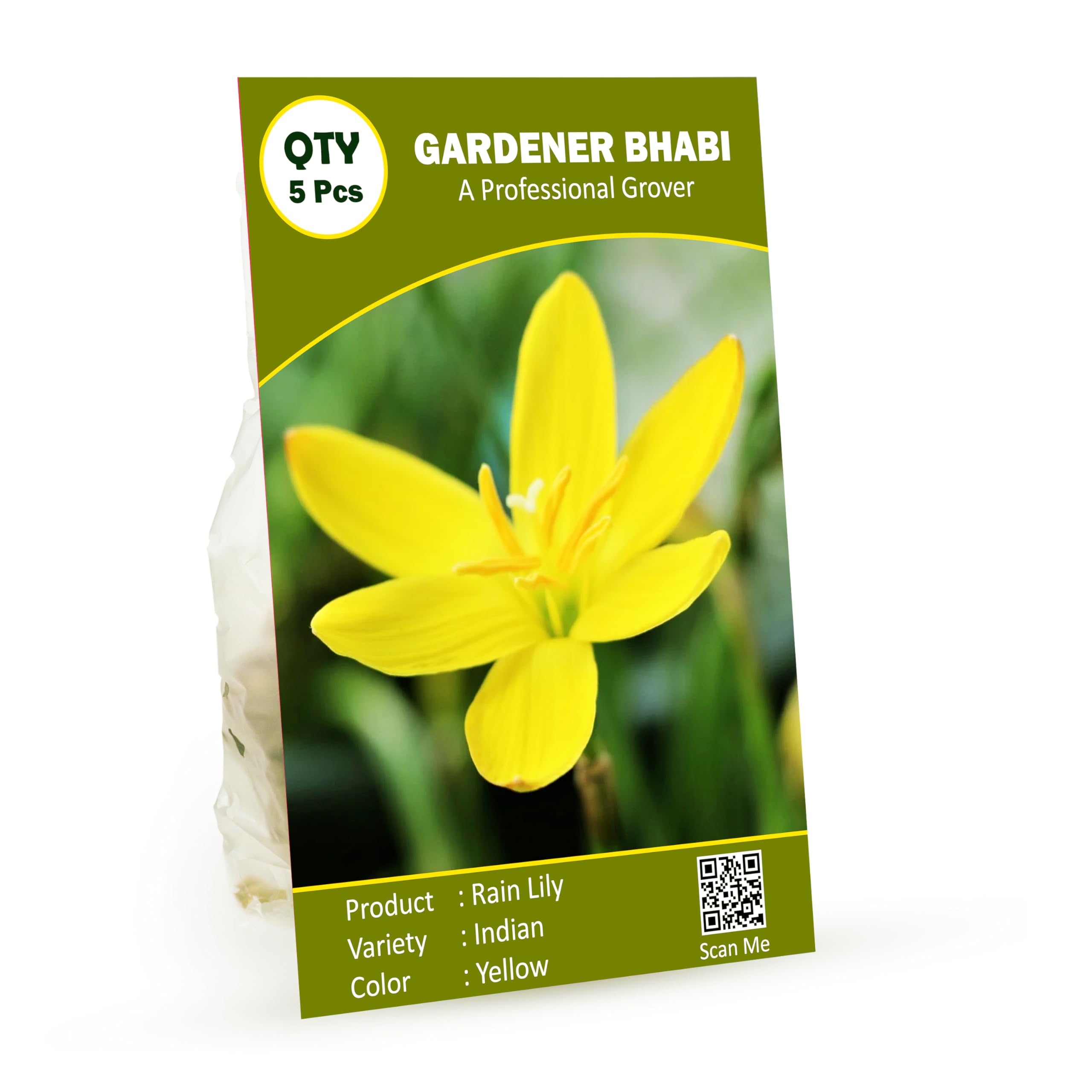 Gardener Bhabi Zephyranthes - Rain Lily Flower Bulbs - Pack of 5 Bulbs (Yellow) (B0CZRH7VRN) Amazon Price History, Amazon Price Tracker