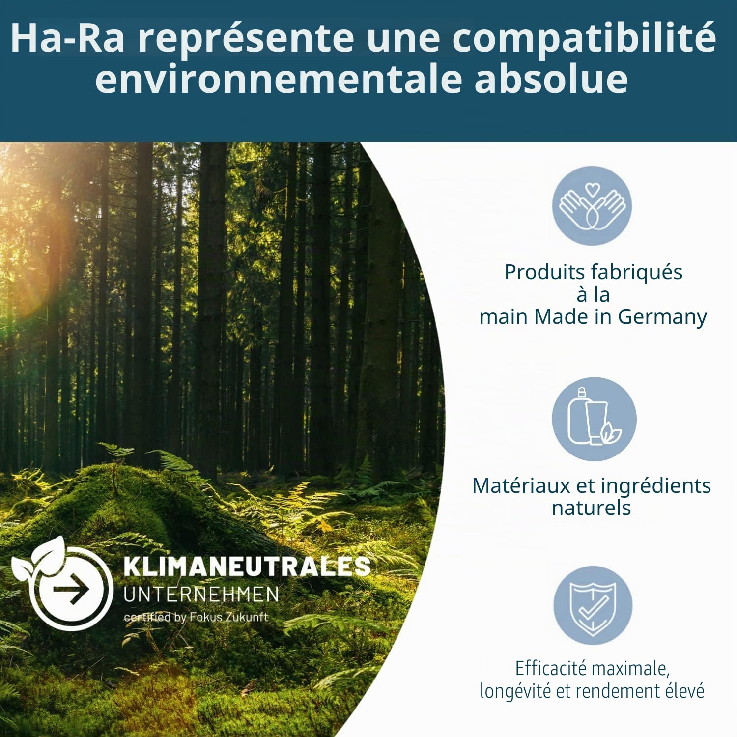 Ha-Ra Mach 6 Serpillère 42 cm – L'original de