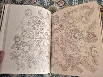 The Flower Year: A Coloring Book for Adults | Amazon.com.br