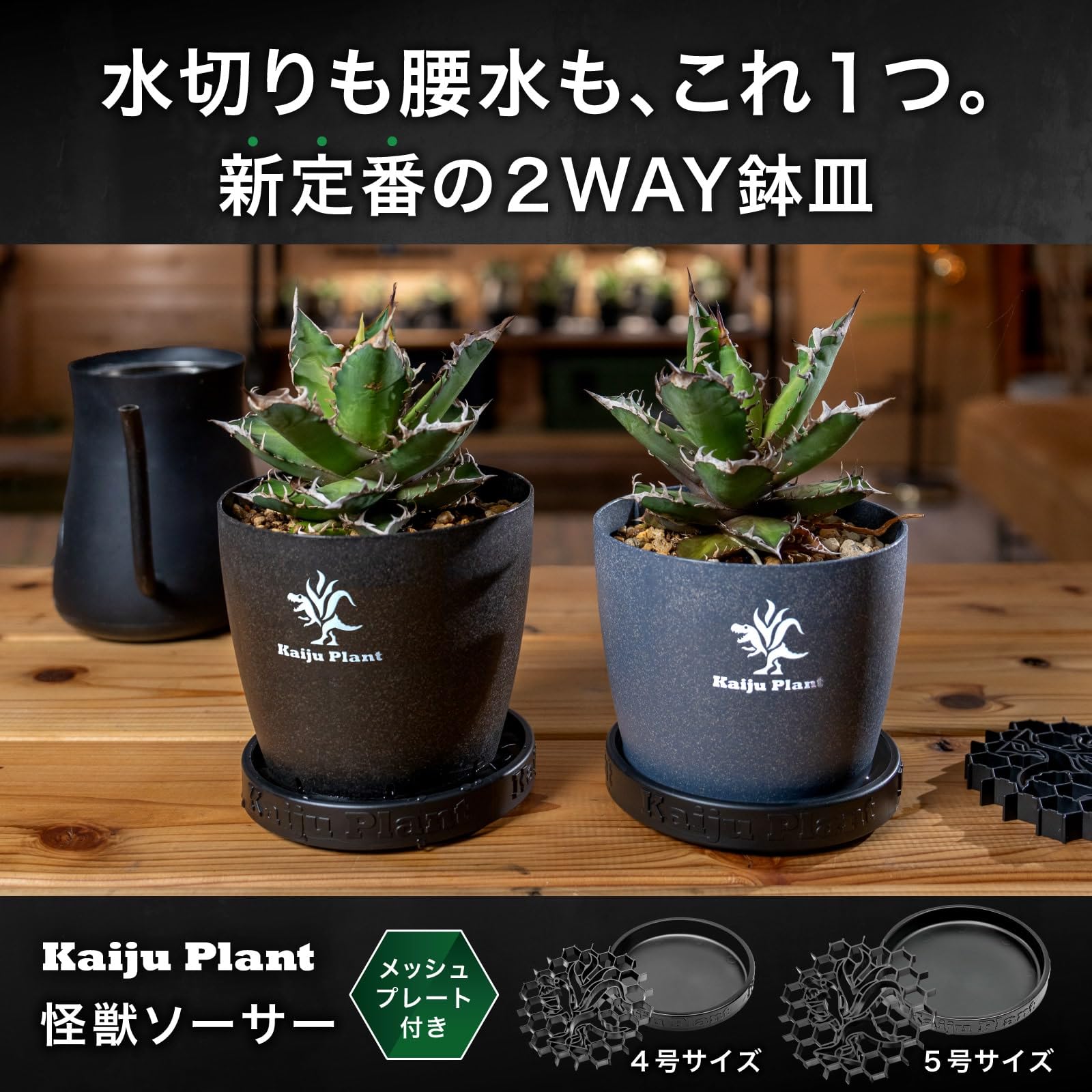 Amazon.co.jp: Kaiju Plant 怪獣ソーサーEco No.4 鉢皿 4号サイズ