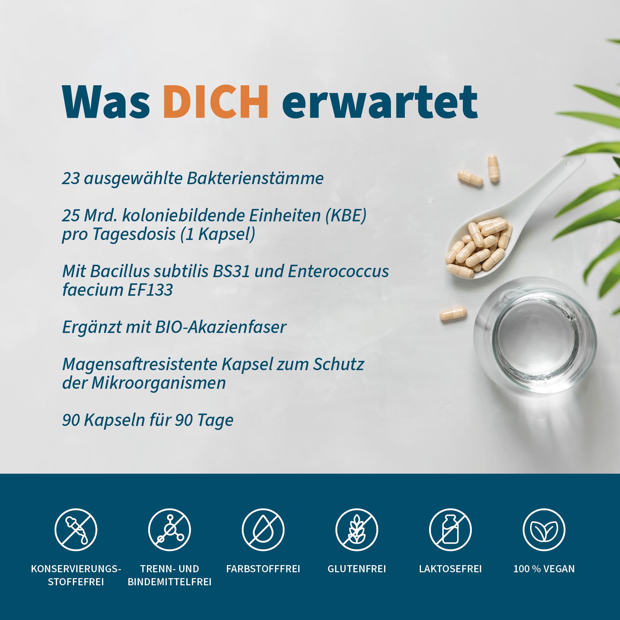 NatuGena BactoGena 21+2, hochdosierte Darmbakterien-Mischung mit 23 Stämmen, Milchsäure- und Bifidobakterien, 90 mg BIO-Akazienfasern pro Tagesdosis, 90 Kapseln (90 Tage Packung)