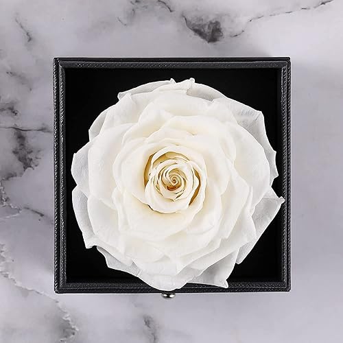 Miniatura 3 de Poshieca Rosa real preservada con collar I Love You, regalo de flor de rosa encantada para esposa, novia, mamá, día de San Valentín, Navidad,