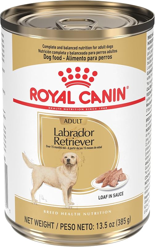 ROYAL CANIN Labrador Retriever Alimento húmedo para perros adultos, 13.5 oz | Control de peso, soporte para huesos y articulaciones, para perros labradores adultos mayores de 15 meses, pan en salsa, desarrollado por veterinarios