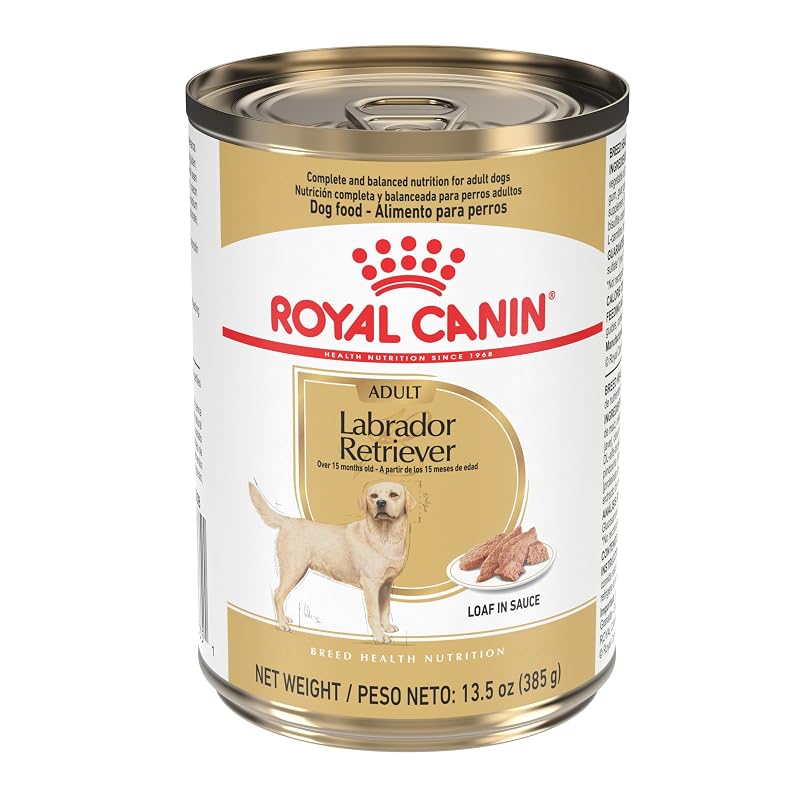 Ração úmida para Labrador Retriever Adulto ROYAL CANIN, patê em molho, 378 g