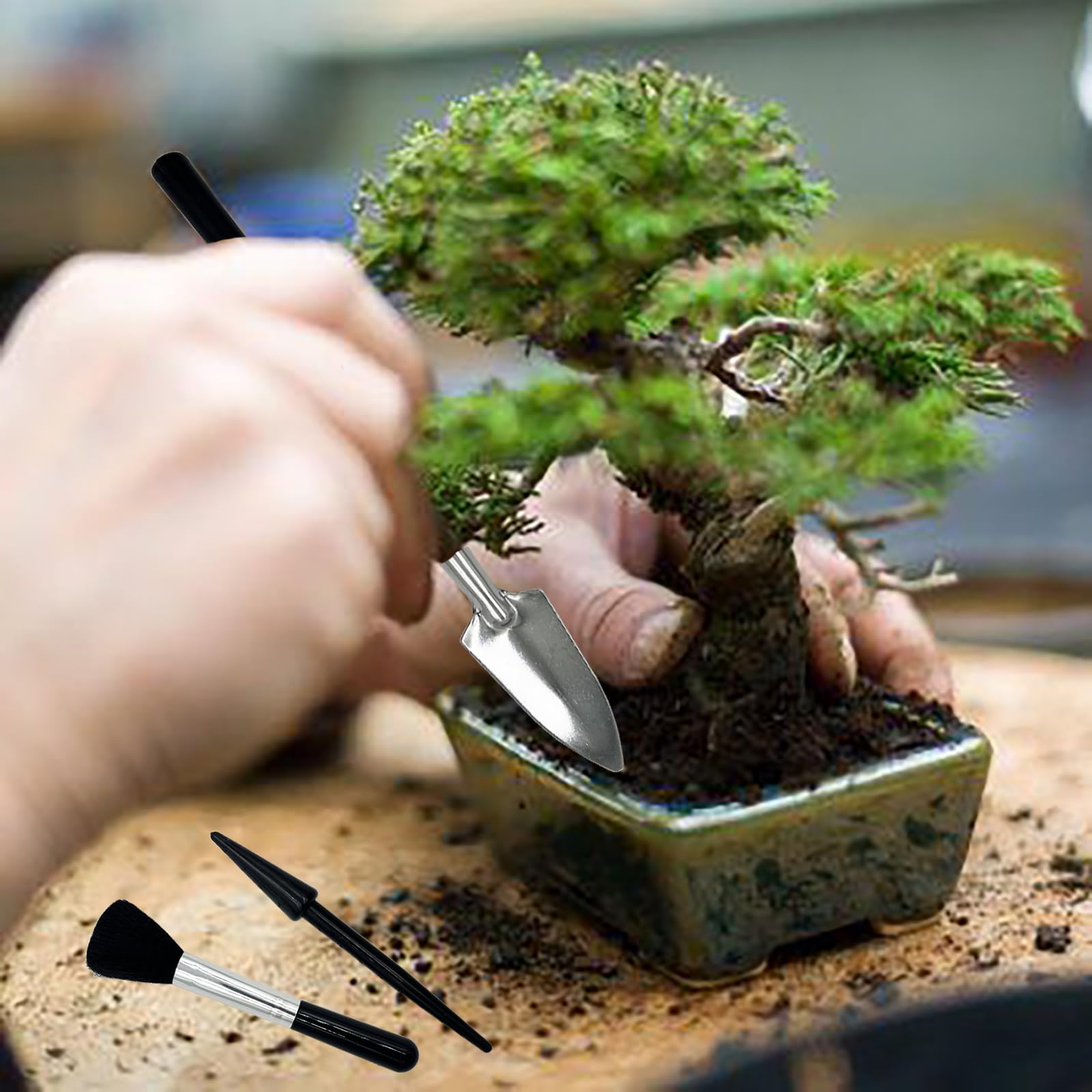 Juego de Herramientas para Bonsái,Herramientas para Plantas Suculentas Set,Mini Herramientas de Jardín para Trasplante,el Cuidado de Plantas en Miniatura