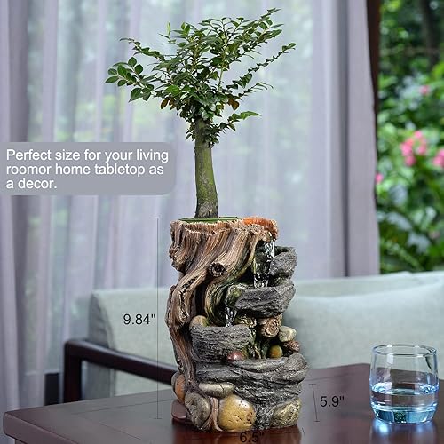 Miniatura 2 de GOSSI Fuente de interior decorativa de 5 niveles con una pequeña maceta de plástico para cultivar la planta por ti mismo (riego automático) (22021)