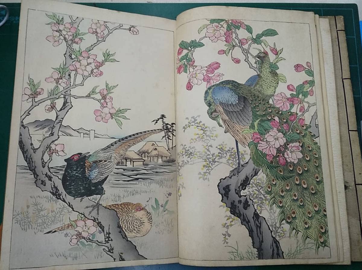 Amazon.co.jp: 「楳嶺花鳥画譜（春夏秋冬）」全2巻 幸野楳嶺