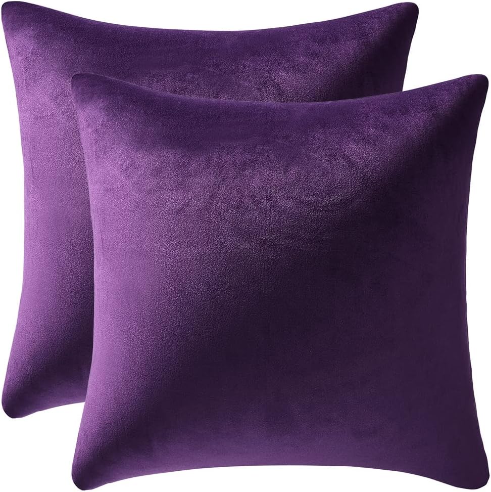 24x24 Throw Pillow Cases Purple: 2 Pack Cozy Soft Velvet Square Decorative Pillow Covers for Farmhouse Home Decor Purple 24" x 24" (Pack of 2)