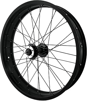 20 x 4.0 Inch Fat Bike Front Wheel, Snow Bike Wheels Alloy Disc Brake For 20 x 4.0" Beach Bike Wheel