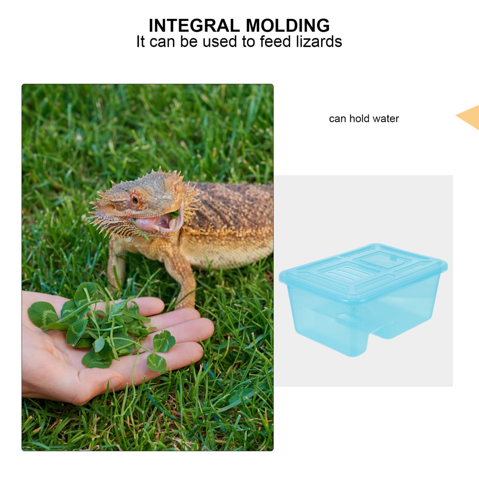 Happyyami Terrario para Tortugas Azul Rampa, Tanque de Alimentación de Reptiles en Plástico Moldeado, Adecuado para Tortugas y Pequeños Reptiles Semiacuáticos