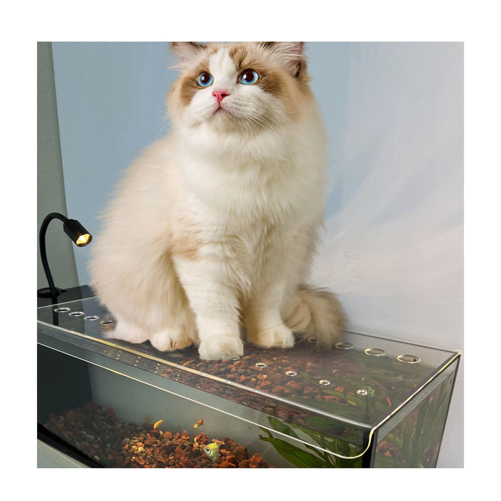 Couvercle en Acrylique pour Aquarium avec Ventilation D'oxygène, Couvercle Anti-évasion, Résistant Aux Chats, Facile À Nettoyer | 40.6x20.3cm/16x8''